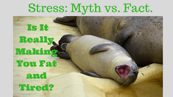 Stress: Myth vs. Fact. Is It Really Making You Fat and Tired?